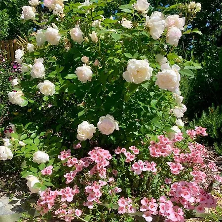 De Charme Le Clos De La Fontaine Piscine & Konukevi Labastide-Marnhac