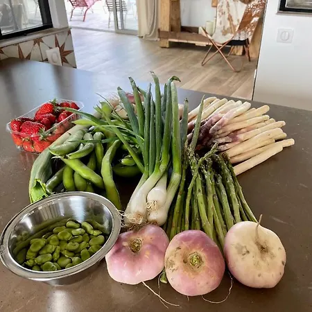De Charme Le Clos De La Fontaine Piscine & 4* Labastide-Marnhac