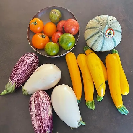 بيت ضيافة De Charme Le Clos De La Fontaine Piscine &