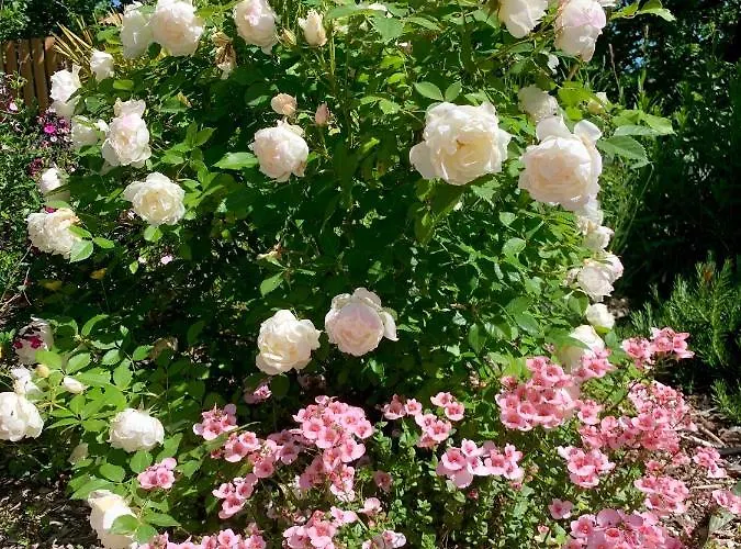 De Charme Le Clos De La Fontaine Piscine & Penzion Labastide-Marnhac