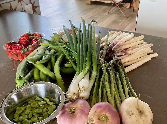 De Charme Le Clos De La Fontaine Piscine & 4* Labastide-Marnhac