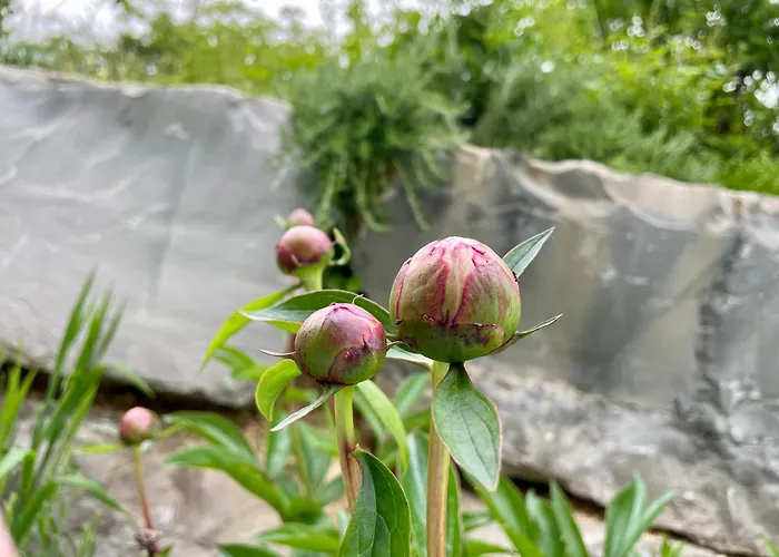 Penzion De Charme Le Clos De La Fontaine Piscine & Labastide-Marnhac