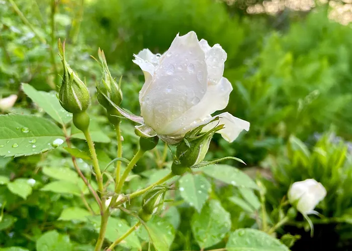 De Charme Le Clos De La Fontaine Piscine & Labastide-Marnhac