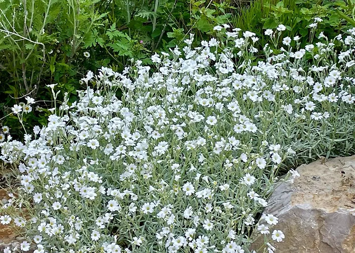 De Charme Le Clos De La Fontaine Piscine &