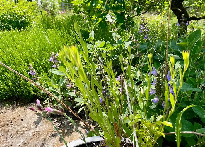 De Charme Le Clos De La Fontaine Piscine &